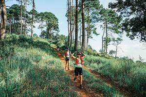 BIB: 
                            <button type="button" onclick="openModal(25673869)" class="btn btn-primary btn-sm float-right btn-popup" data-toggle="modal" data-target=".modal-high-quality">
                        <i class="fas fa-shopping-cart"></i> Add to Cart
                    </button>
                                            <button type="button" onclick="isThisMe(25673869, true)" class="btn btn-success btn-sm float-right btn-popup btn-isme hidden" data-toggle="tooltip" data-placement="bottom" title="นี่คือรูปของคุณใช่ไหม คลิกที่นี่เพื่อเอาเข้าอัลบั้ม">
                        <i class="fas fa-plus"></i> Add to album
                    </button>
                    <button type="button" onclick="isThisMe(25673869, false)" class="btn btn-warning btn-sm float-right btn-popup btn-isnotme hidden">
                        <i class="fas fa-ban"></i> Remove from album
                    </button>